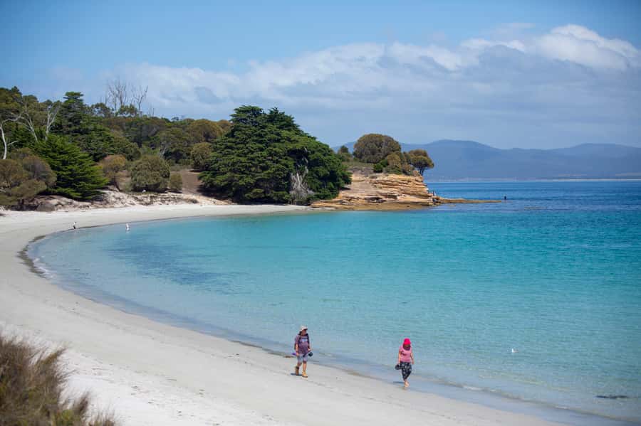 Hobart: Maria Island National Park Active Full-Day Tour - The early coach ride from Hobart