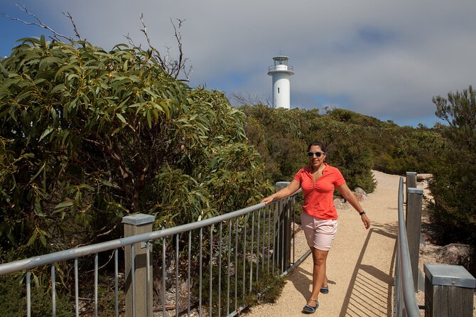 Hobart: Wineglass Bay & Freycinet National Park - Active Day Tour - Why Wineglass Bay is worth the long ride from Hobart