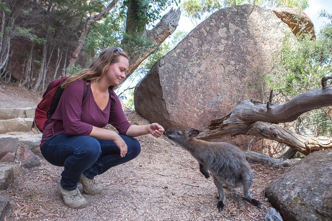 Hobart: Wineglass Bay & Freycinet National Park - Active Day Tour - What to pack for the day