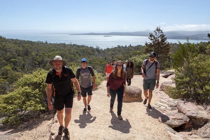 Hobart: Wineglass Bay & Freycinet National Park - Active Day Tour - The 45-minute climb to Wineglass Bay Lookout