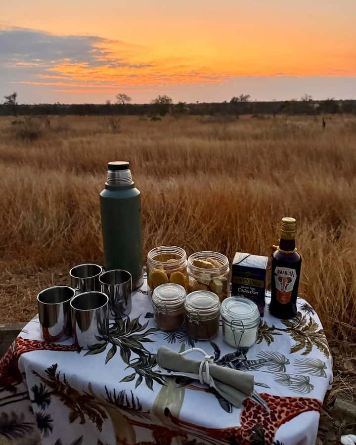 Hoedspruit: Full Day in ICONIC Kruger National Park - Why a full day in Kruger makes sense