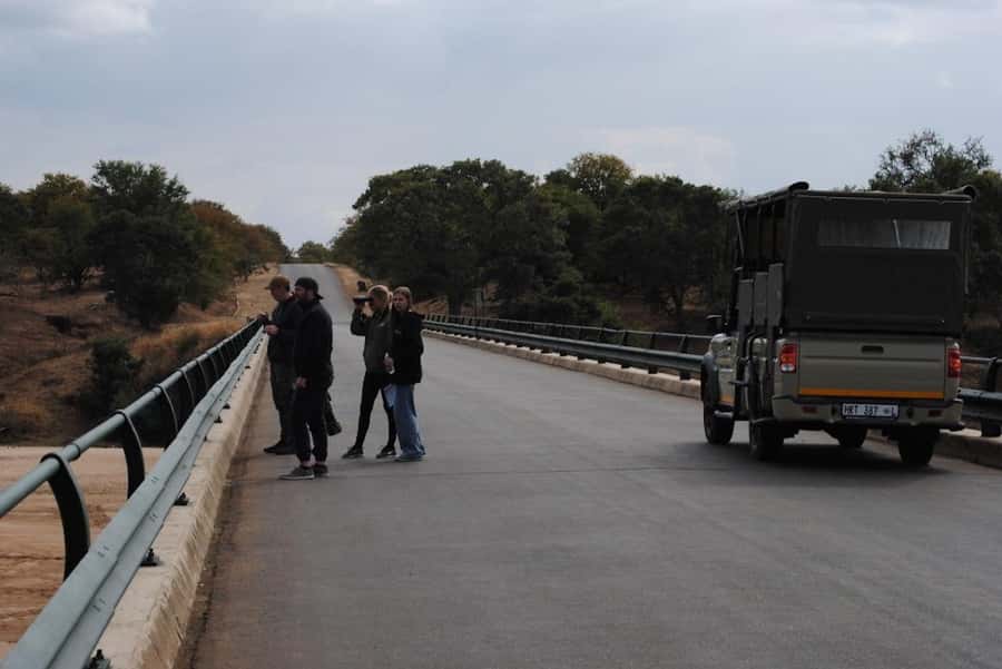 Hoedspruit: Full Day in ICONIC Kruger National Park - Three more hours before lunch