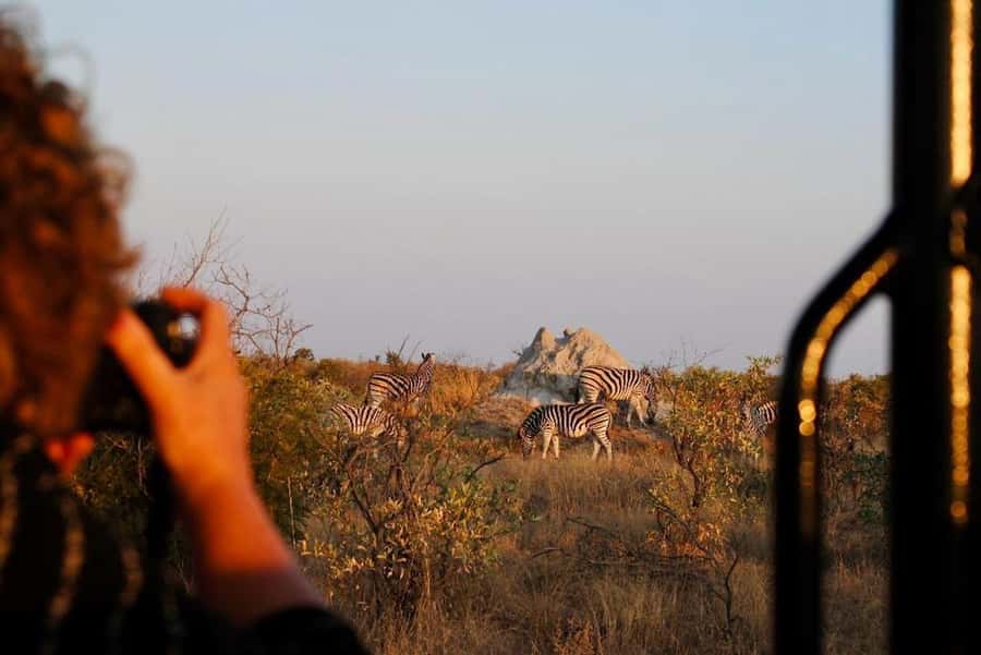 Hoedspruit: Full Day in ICONIC Kruger National Park - From Hoedspruit to the park gate