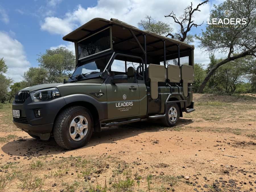 Hoedspruit: Private Kruger National Park Full-Day Safari - Searching for the Big Five and Smaller Wonders