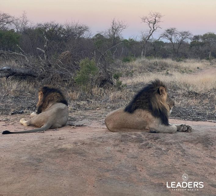 Hoedspruit: Private Kruger National Park Full-Day Safari - Who Should Book This Kruger Day