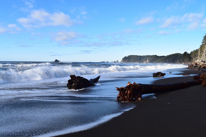 Hoh Rain Forest and Rialto Beach Guided Tour in Olympic National Park - Weather, clothing, and physical effort