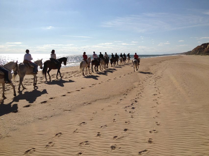 Horse-Riding Tour in Doñana National Park - Key points to know before you book