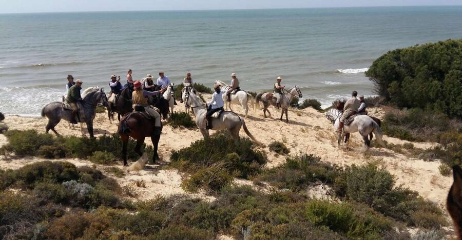 Horse-Riding Tour in Doñana National Park - Three sides of Doñana on horseback