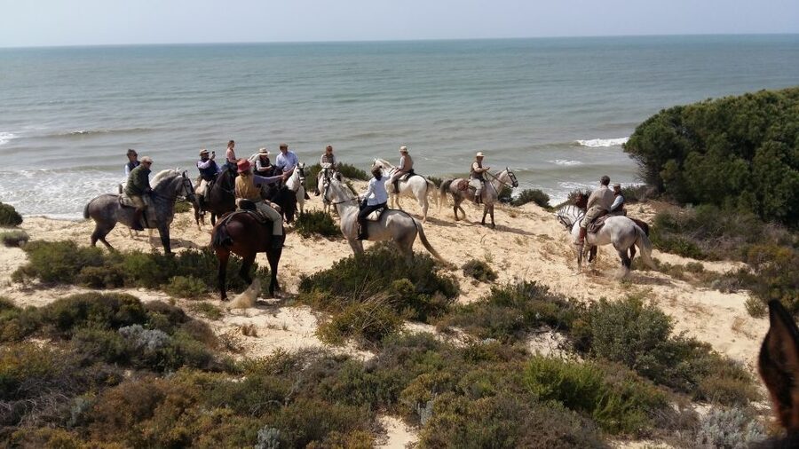 Horse-Riding Tour in Doñana National Park - Climbing toward the Doñana dunes