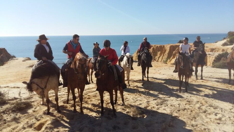 Horse-Riding Tour in Doñana National Park - Starting in El Coto’s pine forest