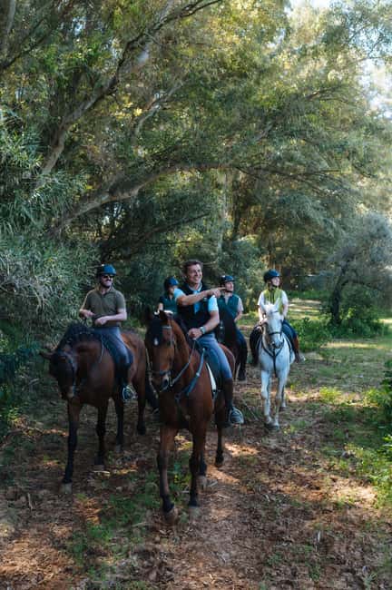 Horseback ride around Doñana National Park - A quiet change from Seville
