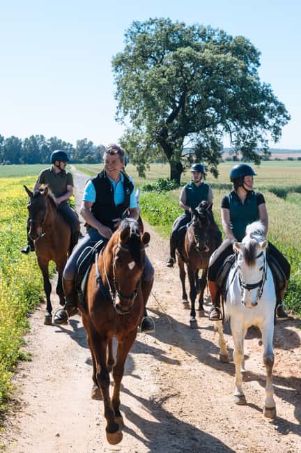 Horseback ride around Doñana National Park - Meeting the Spanish horses at El Acebuche