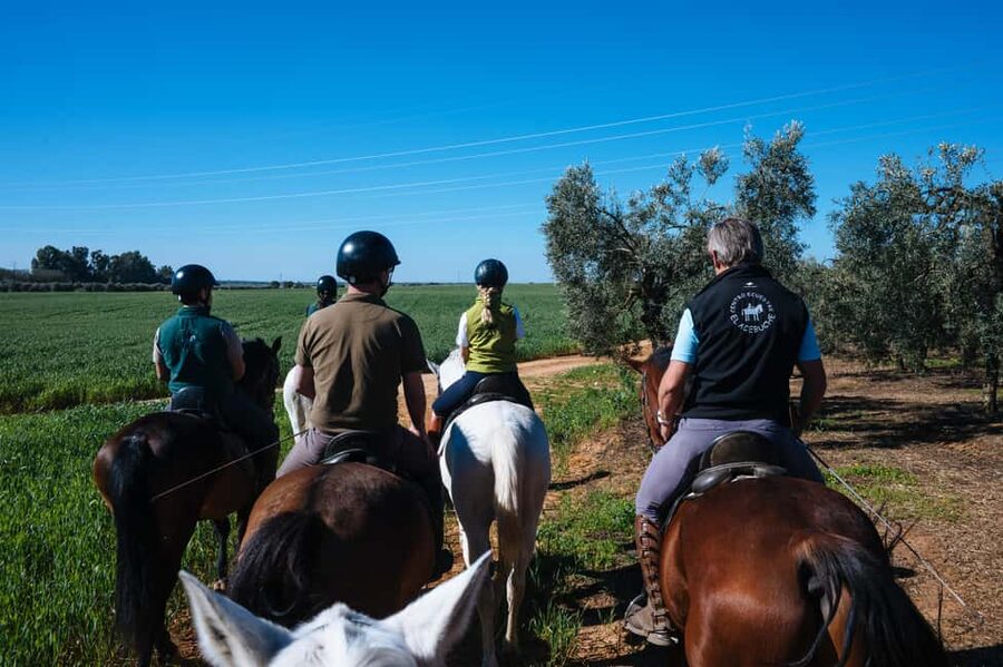 Horseback ride around Doñana National Park - Is $100 a fair price?