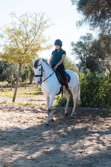 Horseback ride around Doñana National Park - Who should book this ride?