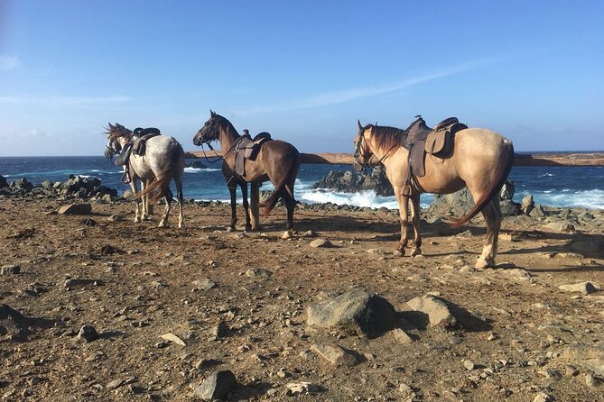 Horseback Ride Tour to Natural Pool in Arikok National Park - What the $155 price includes