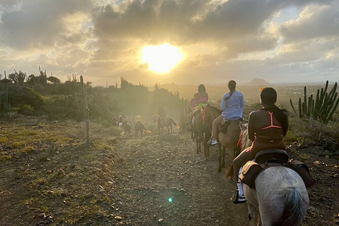 Horseback Ride Tour to Natural Pool in Arikok National Park - Clothing, comfort, and safety details