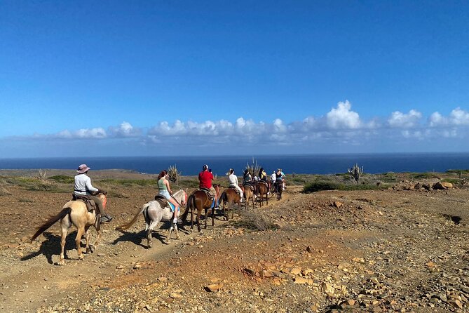 Horseback Ride Tour to Natural Pool in Arikok National Park - Who will enjoy this ride most