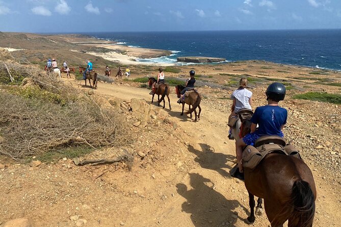 Horseback Ride Tour to Natural Pool in Arikok National Park - Booking and cancellation details