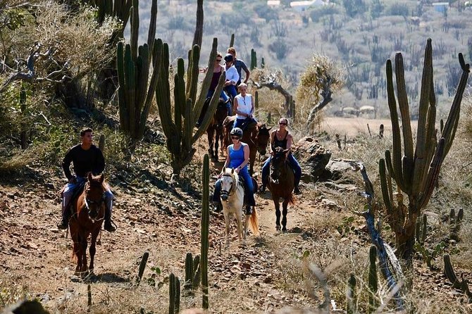 Horseback Ride Tour to Natural Pool in Arikok National Park - The return ride and what the pace feels like