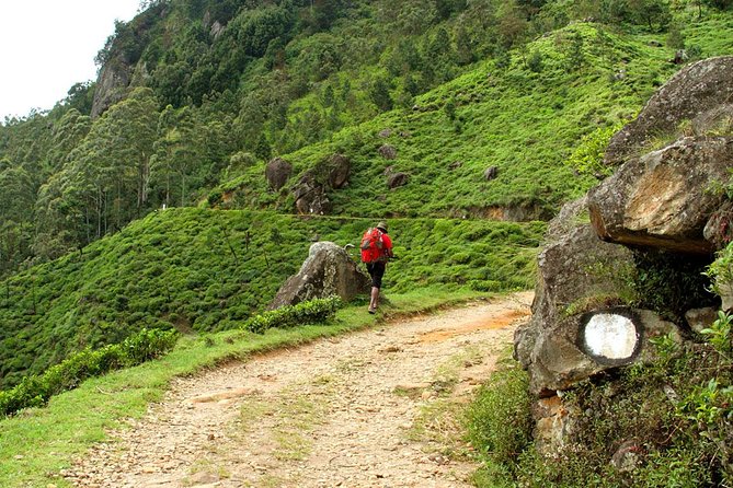 Horton Plains National Park Tour With Scenic Train Ride - World’s End and the 1,200-meter drop