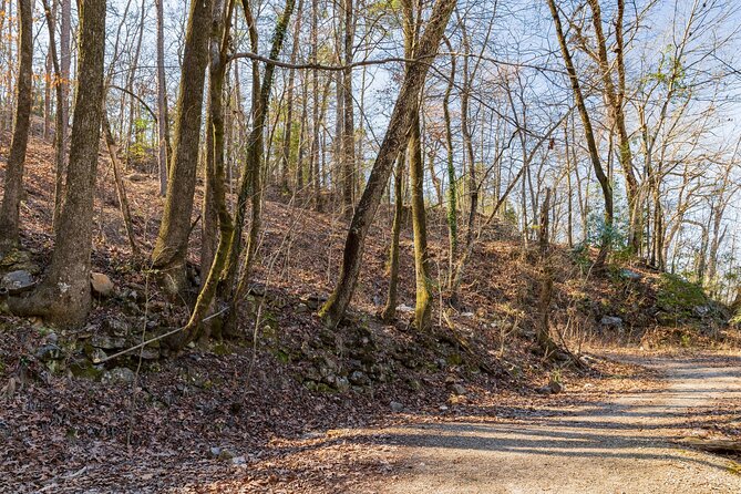 Hot Springs National Park Self Guided Audio Tour - Ride up Hot Springs Mountain for broad views