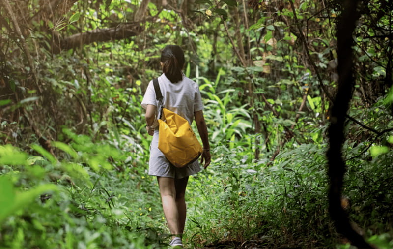 Huatulco: National Park Hiking and Snorkeling Tour - A four-hour route from hotel or Santa Cruz dock