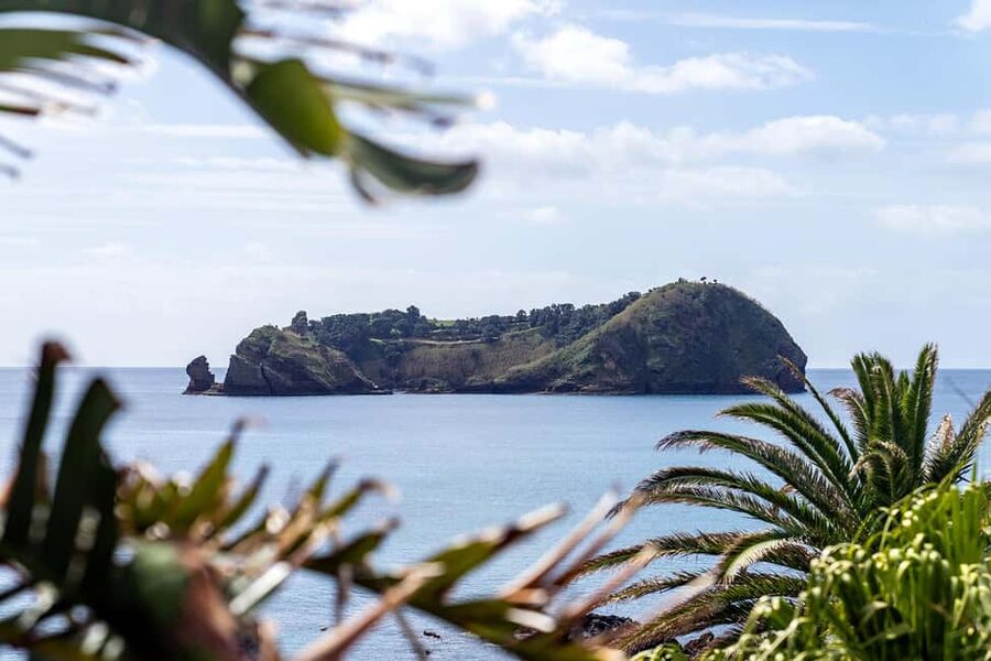 Inside Vila Franca Islet: Guided Nature Reserve Eco Tour - Is $47 a fair price?