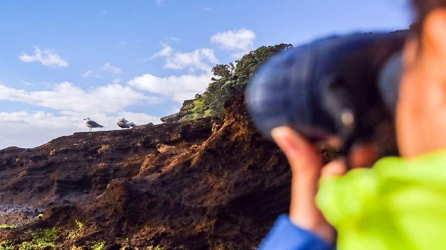Inside Vila Franca Islet: Guided Nature Reserve Eco Tour - Walking inside the ancient crater
