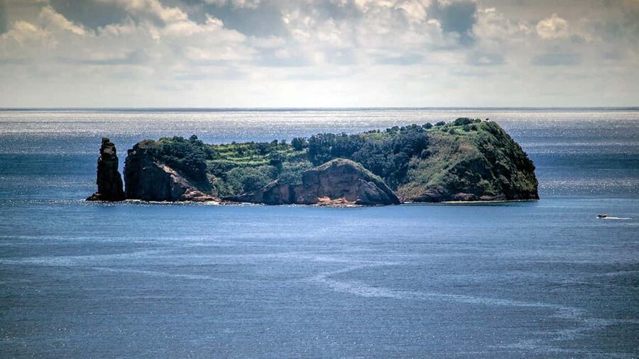 Inside Vila Franca Islet: Guided Nature Reserve Eco Tour - Birds, plants, and small marine life
