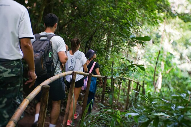 Inthanon National Park Tour with Soft Hike at Pha Dok Siew Trail - The royal pagodas and the Hmong market