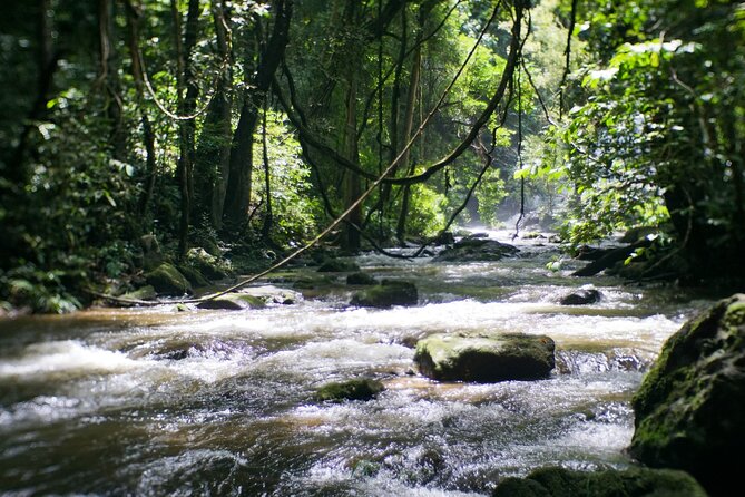 Inthanon National Park Tour with Soft Hike at Pha Dok Siew Trail - Walking Pha Dok Siew to the waterfall