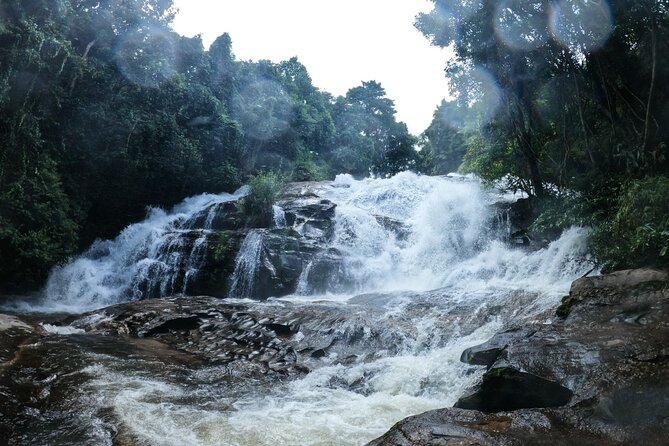Inthanon National Park Tour with Soft Hike at Pha Dok Siew Trail - Ban Mae Klang Luang and Karen coffee