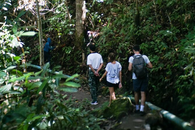 Inthanon National Park Tour with Soft Hike at Pha Dok Siew Trail - Who will enjoy this day most