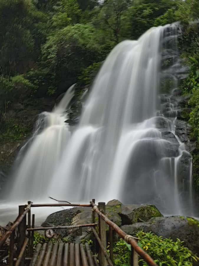 Inthanon national park, Trekking and Sightseeing in one day. - Key points to know before you book