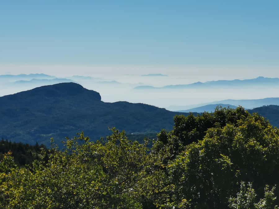 Inthanon national park, Trekking and Sightseeing in one day. - Twin pagodas bring history into the afternoon