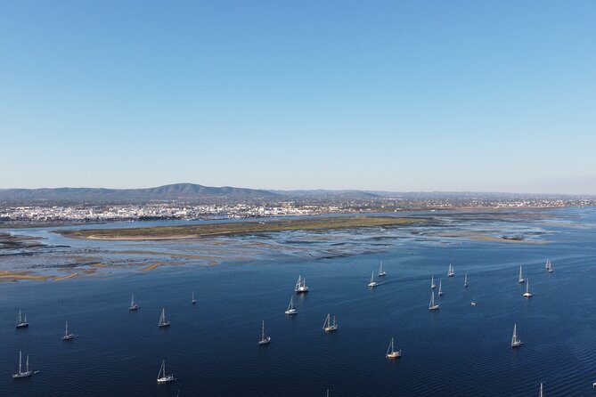 Islands Tour: Half Day Cruise in Ria Formosa Natural Park - How the guide affects the experience