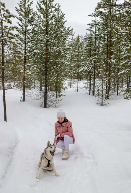 Ivalo - Saariselkä: Husky Walk in the Wilderness - Meeting the huskies at Ilonka Farm