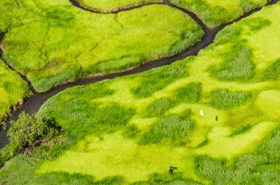Jabiru: Guided Flight over Kakadu National Park - Dry season route over valleys and floodplains