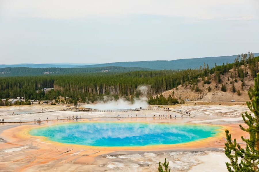 Jackson: 2-Day Yellowstone National Park Tour with Lunches - What the guide adds to the experience