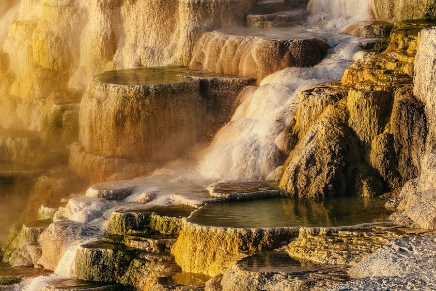 Jackson: 2-Day Yellowstone National Park Tour with Lunches - Is $650 a fair price?