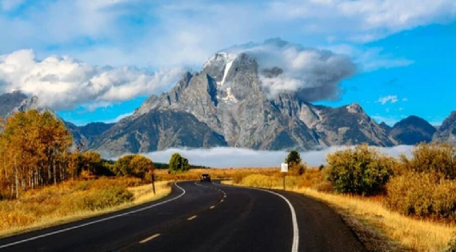 Jackson: Grand Teton National Park Guided Wildlife Tour - Geology and ecology without a classroom feel