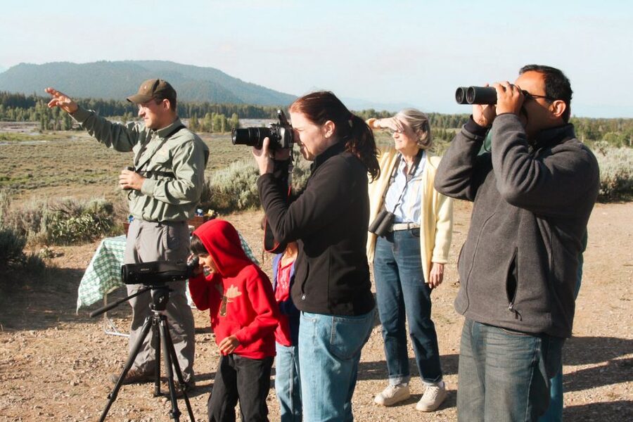 Jackson: Grand Teton National Park Guided Wildlife Tour - Who should book this tour?