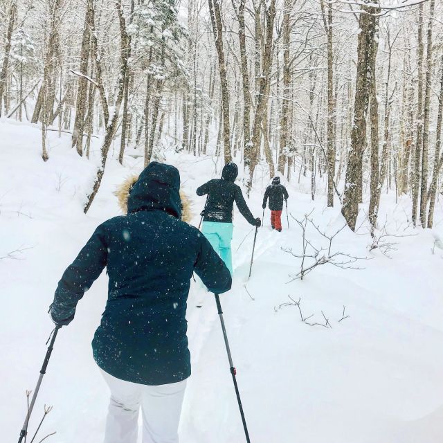 Jacques-Cartier National Park: Skiing Excursion - Key points to know before booking