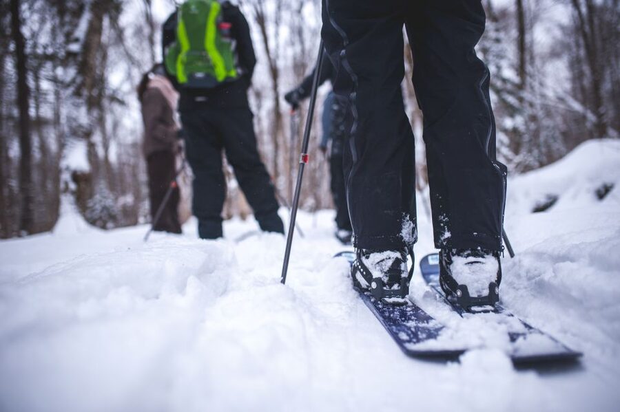 Jacques-Cartier National Park: Skiing Excursion - Wildlife signs, forest stories, and quiet pauses
