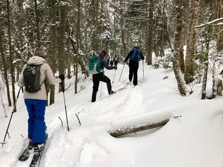 Jacques-Cartier National Park: Skiing Excursion - Is $108 a fair price?