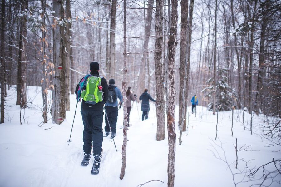 Jacques-Cartier National Park: Skiing Excursion - The 9 am departure from Quebec City