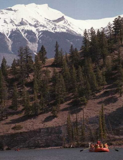 Jasper: Jasper National Park Easy 2-Hour Rafting Trip