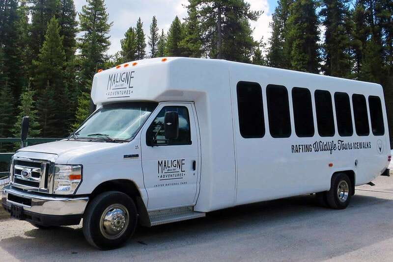 Jasper National Park: Evening or Morning Wildlife Watch Tour - Is $63 a fair price?