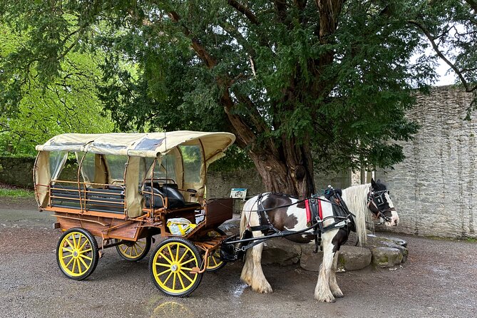 Jaunting Car Tour in Killarney National Park - The guides make the short tour worthwhile