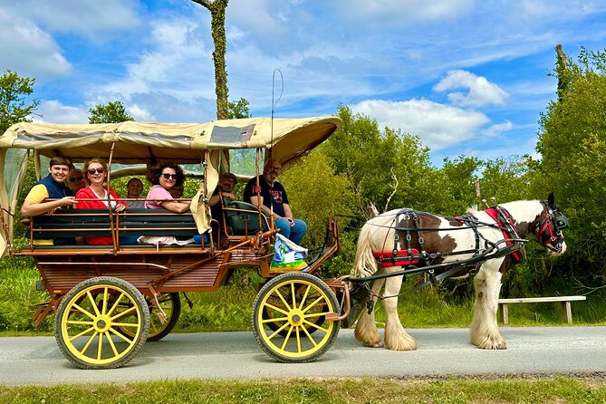 Jaunting Car Tour in Killarney National Park - Should you book the McCarthys jaunting car tour?